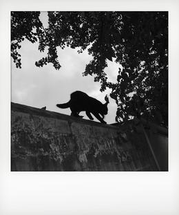 After the Fact - By: Stevie Abram