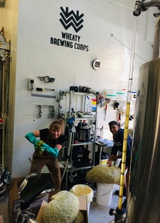 Fresh Hop Brewday 2019