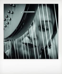 Tunes with Strings and Songs - Featuring - The Diane Peters Quartet with special guest - Lou Blackwell