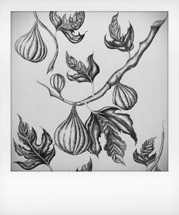 Fruit of the Gods - by Steel Chronis